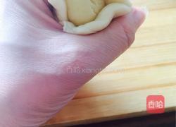 蛋黄酥的做法图解6