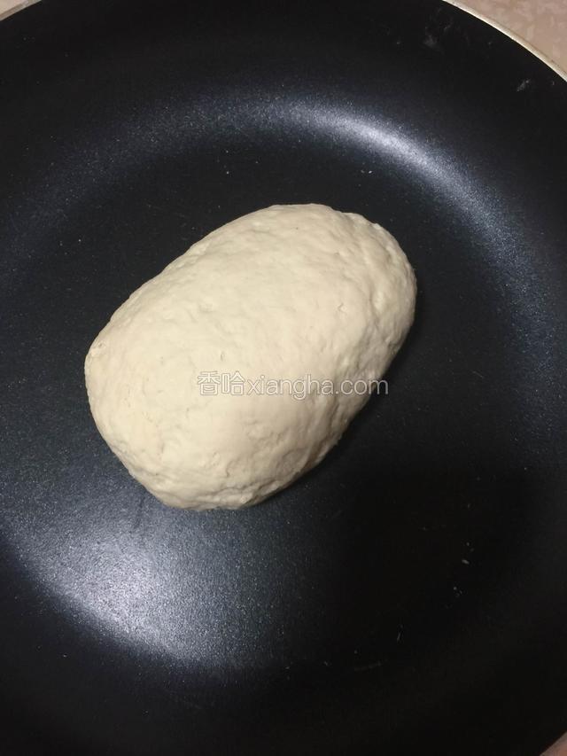 酵母用温水化开  用牛奶和面  温暖处发酵
