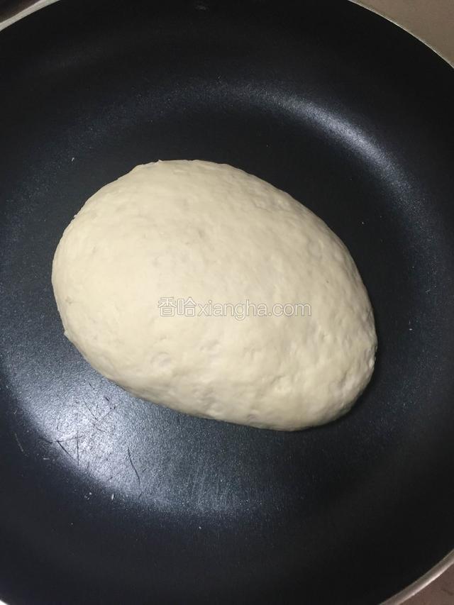 发至1.5倍或者2倍大小 取出排气