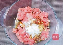 红烧狮子头的做法图解4