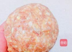 红烧狮子头的做法图解6