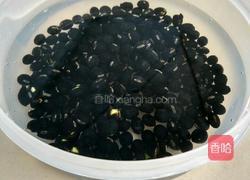 黑豆炖雪梨的做法图解2