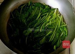 菠菜炖粉条的做法图解3