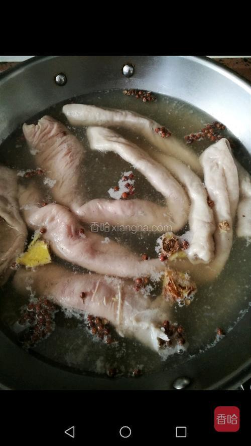 猪七寸翻出来反复用盐搓洗干净,放入锅内加入清水,一听啤酒,麦芽糖
