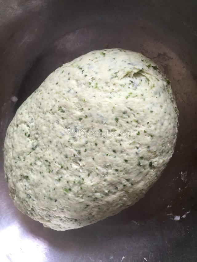 揉成面团进行第一次发酵。
