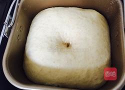 燕麦片山峰土司的做法图解8