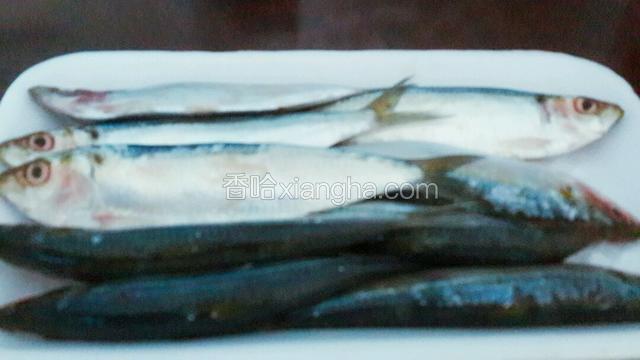 准备一份新鲜沙丁鱼洗净，去鳞。沙丁鱼的鳞片细软，用手指轻刮即可去除。一定小心，不要破坏鱼皮的完整