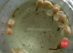 茉莉花茶的做法图解4