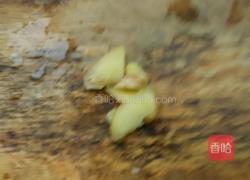 蚝油杏鲍菇的做法图解5