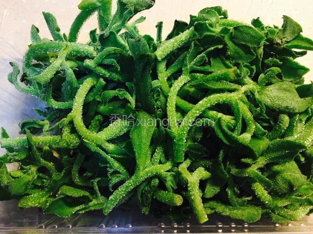 鲜冰草洗净