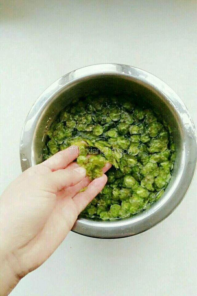 准备新鲜的榆钱。榆钱用水浸泡10分钟，多洗几遍，控水。把榆钱下面的花蒂摘掉，这样榆钱就是一片片的了。