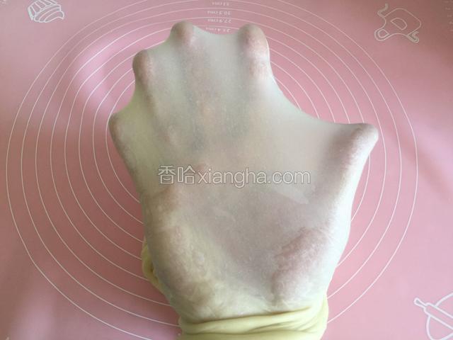 由于吐司要求的面团要揉到完全阶段，我看不太理想又手揉加摔打15分钟，出现薄的手膜。