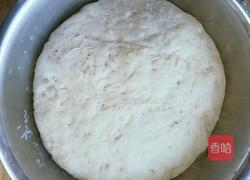 素菜包子的做法图解7