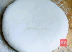 韭菜大肉水饺的做法图解1