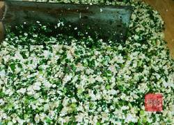 韭菜大肉水饺的做法图解8