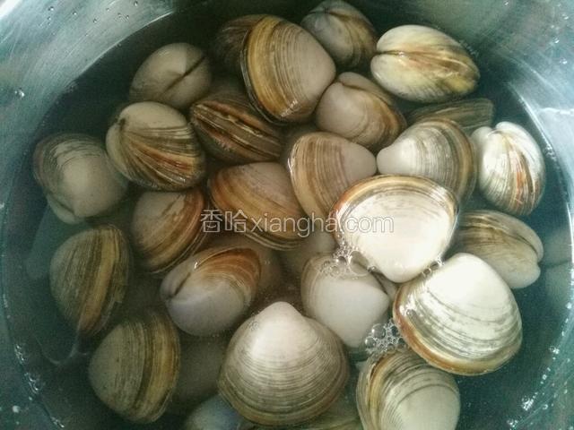 买来的蚶子用盐水泡两个小时以上，吐出泥沙（我是买商家已经吐好泥沙的，用清水泡一会就好了）