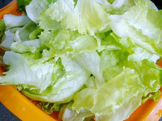 生菜洗净沥水