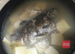 鲫鱼炖豆腐的做法图解5