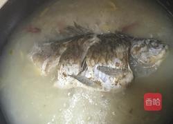 鲫鱼炖豆腐的做法图解4