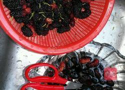 桑椹酱的做法图解3