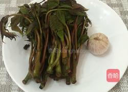 香椿煎鸡蛋的做法图解1