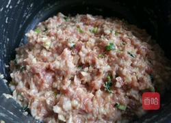 红烧狮子头的做法图解7