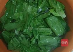 清香莴笋叶的做法图解1