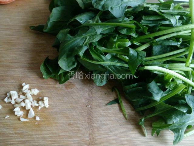 菠菜洗净切段。蒜切末。