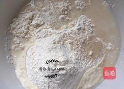 水煎包(猪肉韭菜馅儿)的做法图解2