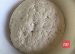 水煎包(猪肉韭菜馅儿)的做法图解4