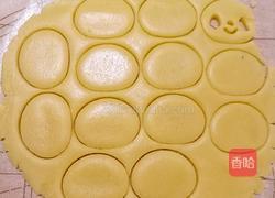 巧克力熊猫饼干的做法图解10