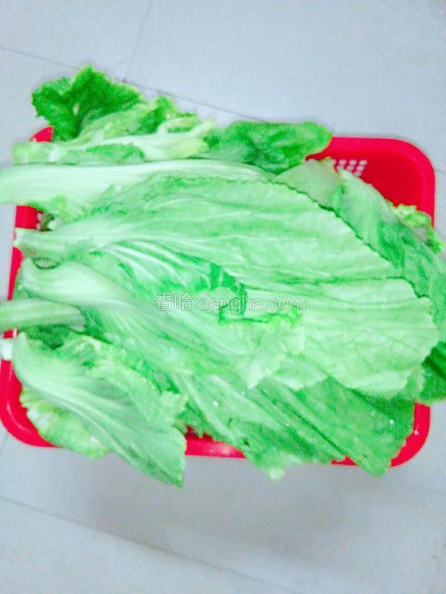 准备好新鲜芥菜，把每张菜清洗干净并沥干水分