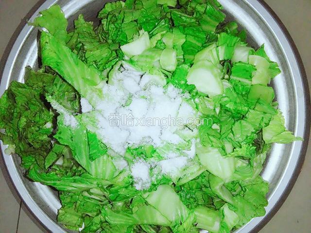 这半包盐要分成三次放，第一次撒上半包盐的三分之一，用手把菜搓揉出水变软。第二次撒盐要在三天后一次和第七天后一次，现在先来完成当下工作