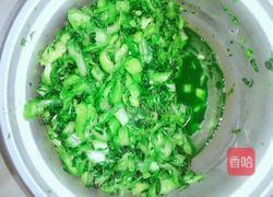 自制咸菜的做法图解5