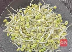 豆芽红烧豆腐的做法图解2