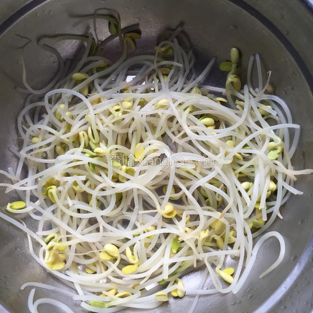 沥干水分的豆芽放一边备用