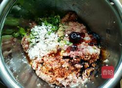 红烧狮子头的做法图解4