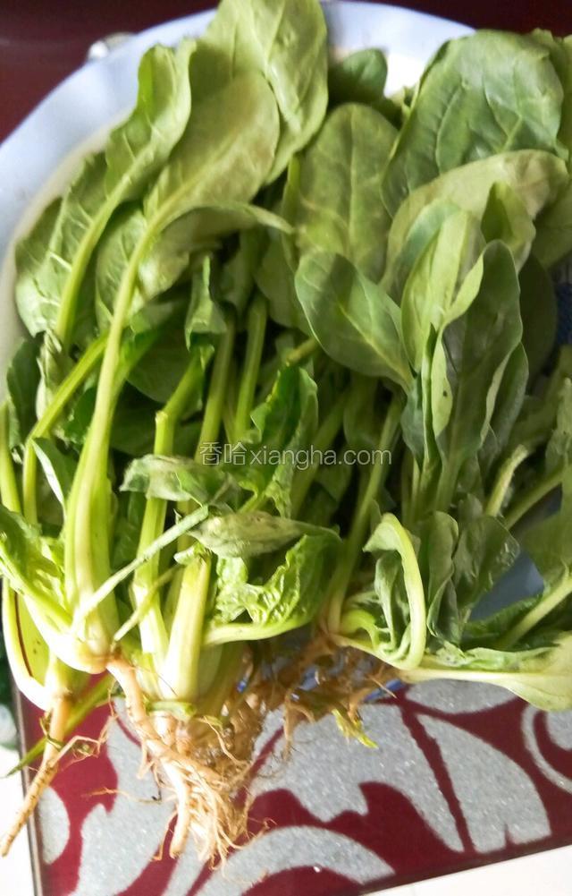 新鲜小嫩菠菜摘掉根，不要弄散，保持整棵，冲洗干净！