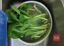 肉末粉丝小白莱的做法图解2