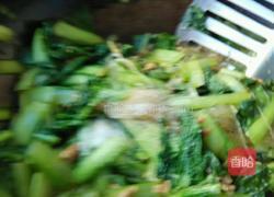 肉末粉丝小白莱的做法图解15