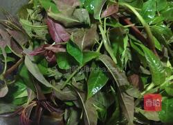 香椿酱的做法图解1