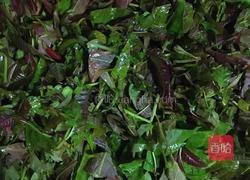 香椿酱的做法图解2