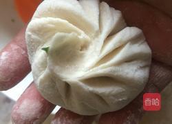水煎包(猪肉韭菜馅儿)的做法图解9