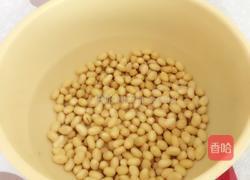 豆浆的做法图解3