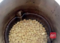 豆浆的做法图解5