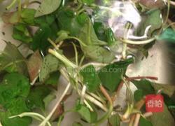 折耳根拌胡豆的做法图解4