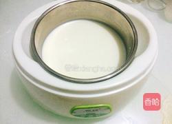 自制酸奶的做法图解5