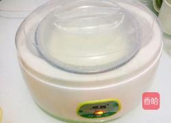 自制酸奶的做法图解7