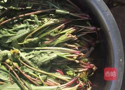 凉拌蒲公英的做法图解1