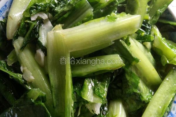 素炒油麦菜